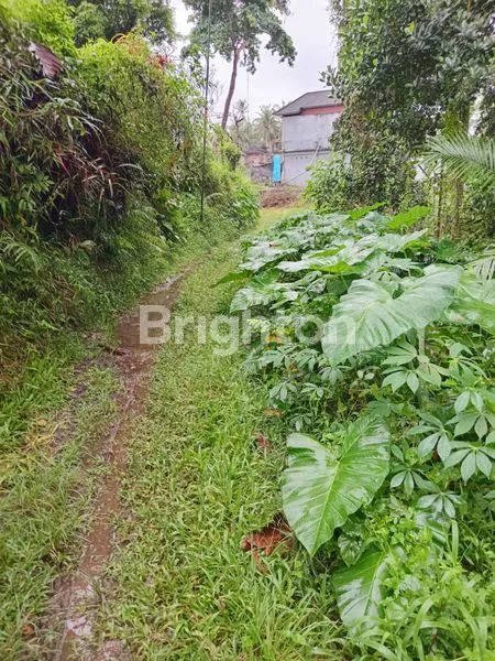 image DIJUAL TANAH KEBUN ASRI, COCOK UNTUK VILLA ATAU USAHA (4)