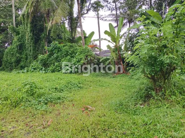 image DIJUAL TANAH KEBUN ASRI, COCOK UNTUK VILLA ATAU USAHA (1)