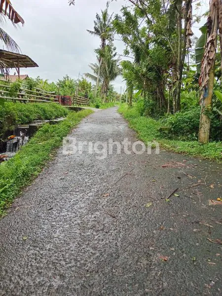 image DIJUAL TANAH KEBUN ASRI, COCOK UNTUK VILLA ATAU USAHA (6)