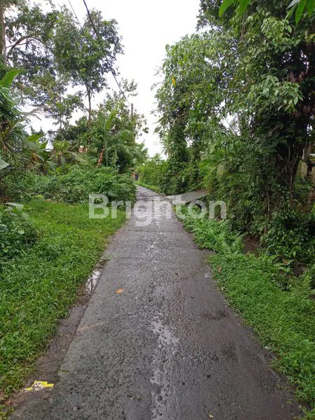 image DIJUAL TANAH KEBUN ASRI, COCOK UNTUK VILLA ATAU USAHA (5)
