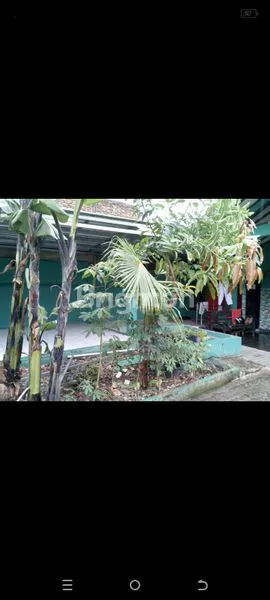 image RUMAH JL. RAYA AL JATIMAKMUR PONDOK GEDE (3)