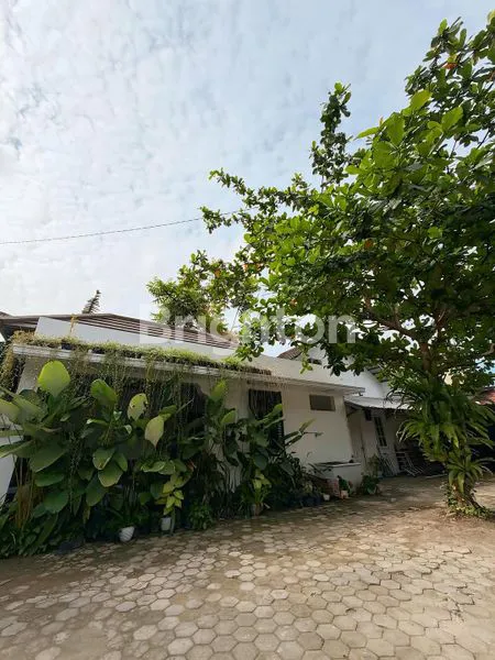 image RUMAH KOLONIAL EKSKLUSIF 722M² DI PANDEYAN, DEKAT MALIOBORO (5)
