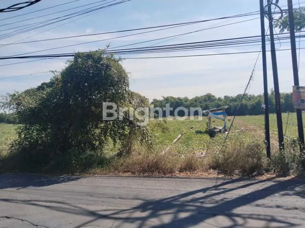 image TANAH KEJAYAN KABUPATEN PASURUAN ZONA INDUSTRI LUAS 1 HEKTAR LEBIH (4)