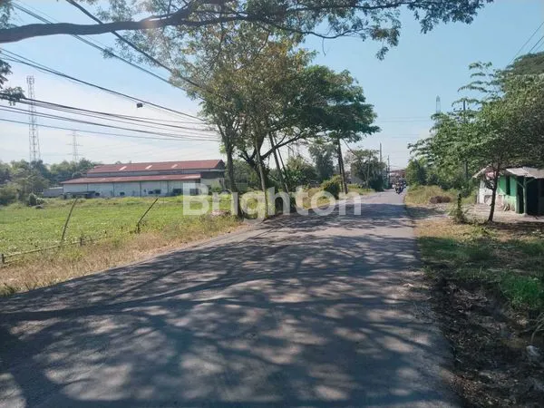 image TANAH KEJAYAN KABUPATEN PASURUAN ZONA INDUSTRI LUAS 1 HEKTAR LEBIH (2)
