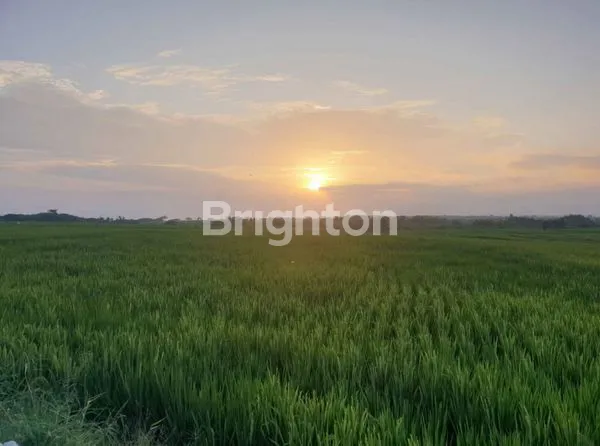 image VILLA MODERN JAUH DARI KEBISINGAN (3)