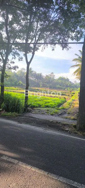 image TANAH LUAS 6.819M² DI CEMOROKANDANG, COCOK UNTUK USAHA POM BENSIN (4)