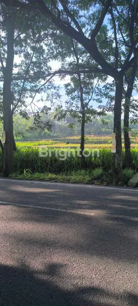 image TANAH LUAS 6.819M² DI CEMOROKANDANG, COCOK UNTUK USAHA POM BENSIN (3)