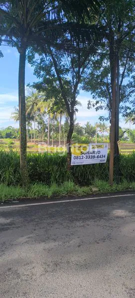 image TANAH LUAS 6.819M² DI CEMOROKANDANG, COCOK UNTUK USAHA POM BENSIN (2)