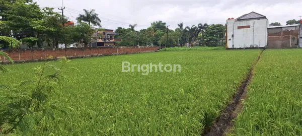 TANAH SAWAH MURAH DI LOKASI STRATEGIS DI BANDUNG TIMUR, AKSES TOL, DEKAT FASUM & BEBAS BANJIR DI GEDEBAGE BANDUNG
