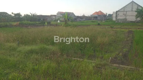 image TANAH MURAH 10X12M, SHM, LOKASI STRATEGIS GRESIK (3)