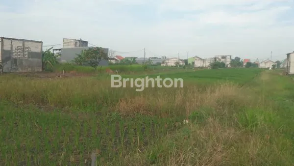 image TANAH MURAH 10X12M, SHM, LOKASI STRATEGIS GRESIK (1)