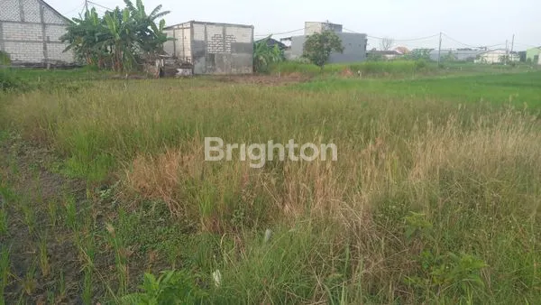 image TANAH MURAH 10X12M, SHM, LOKASI STRATEGIS GRESIK (2)
