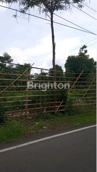 image DIJUAL TANAH TENGAH HUNIAN DAN COCOK UNTUK INVESTASI TENGAH KOTA MALANG  (1)