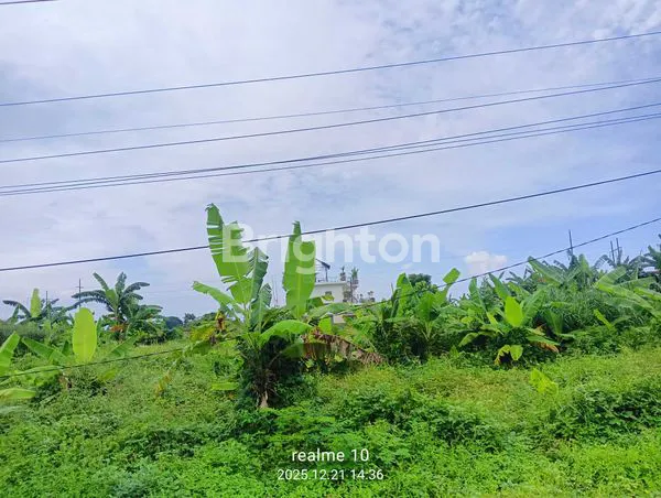 image BUC – TANAH MURAH STRATEGIS BADUNG. (2)