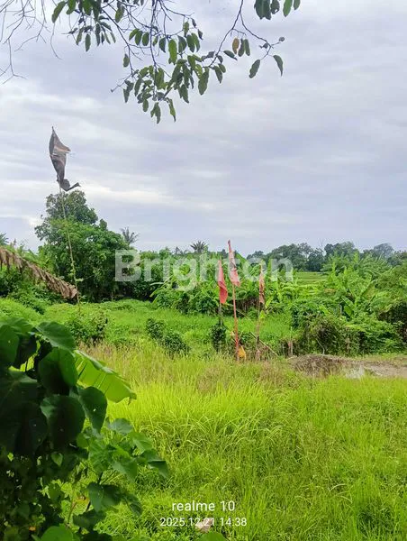 image BUC – TANAH MURAH STRATEGIS BADUNG. (3)