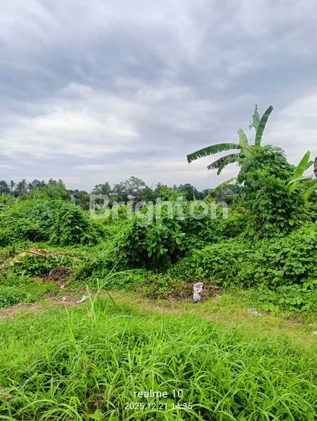 image BUC – TANAH MURAH STRATEGIS BADUNG. (5)