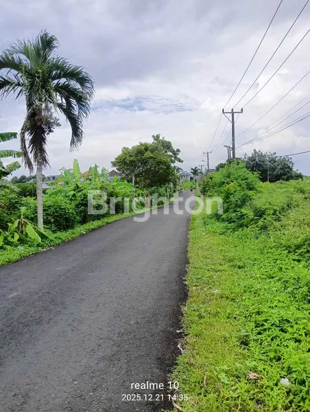 image BUC – TANAH MURAH STRATEGIS BADUNG. (4)