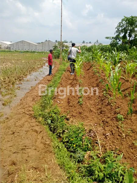 image LAHAN STRATEGIS 3661 M² DI CIJERUK, COCOK UNTUK INVESTASI (1)