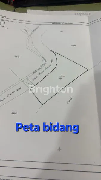 image INVESTASI TANAH DI PROBOLINGGO (JALUR KE BROMO), LOKASI REST AREA POTENSIAL (3)