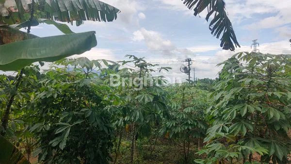 image TANAH LUAS 2080M² DI SUKARAJA BOGOR, HANYA 2 JUTA/M² (5)