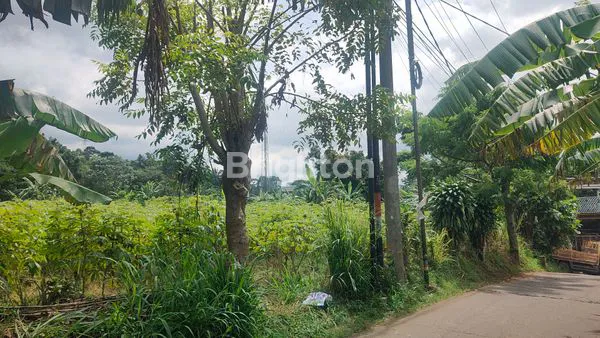 image TANAH LUAS 2080M² DI SUKARAJA BOGOR, HANYA 2 JUTA/M² (3)