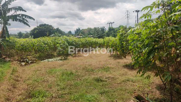 image TANAH LUAS 2080M² DI SUKARAJA BOGOR, HANYA 2 JUTA/M² (4)