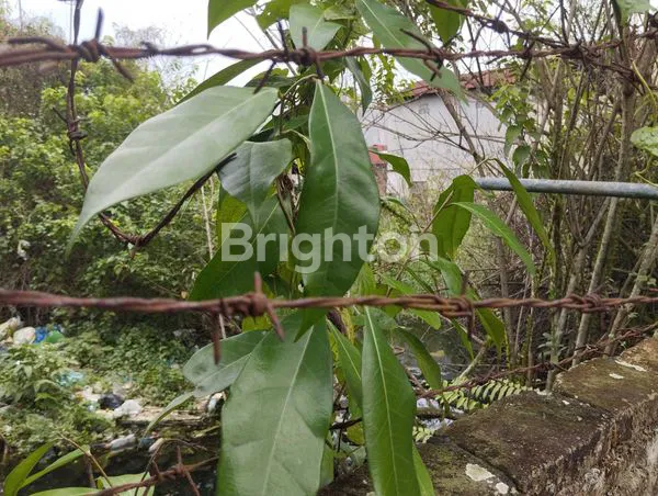 image LUAS 1.102 M², SHM, MEDAN AMPLAS, BISA UNTUK DIJADIKAN TEMPAT KOST, RUKO ATAU RUMAH YANG BERADA DI MEDAN AMPLAS (6)