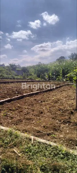 image TANAH MURAH PREMIUM DI KARANG PLOSO MALANG DEKAT WISATA SUMBER NYALA, SENGKALING, JATIM PARK3 DAN DEKAT AKSES TOL SINGOSARI MALANG  (5)