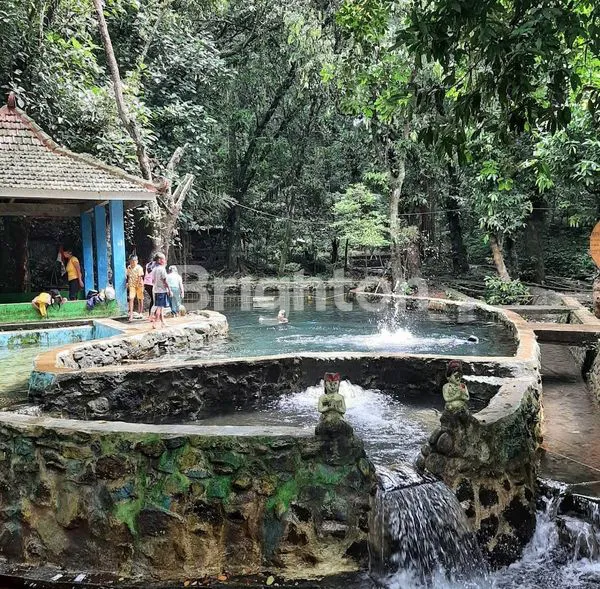 image TANAH MURAH PREMIUM DI KARANG PLOSO MALANG DEKAT WISATA SUMBER NYALA, SENGKALING, JATIM PARK3 DAN DEKAT AKSES TOL SINGOSARI MALANG  (8)