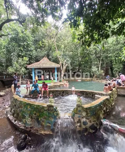image TANAH MURAH PREMIUM DI KARANG PLOSO MALANG DEKAT WISATA SUMBER NYALA, SENGKALING, JATIM PARK3 DAN DEKAT AKSES TOL SINGOSARI MALANG  (6)