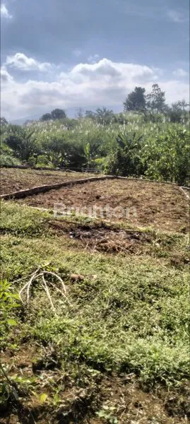 image TANAH MURAH PREMIUM DI KARANG PLOSO MALANG DEKAT WISATA SUMBER NYALA, SENGKALING, JATIM PARK3 DAN DEKAT AKSES TOL SINGOSARI MALANG  (3)