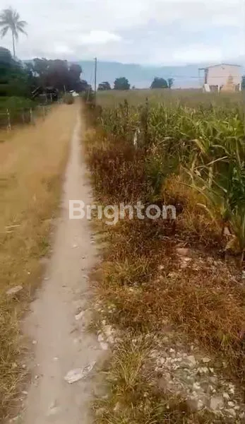 image 4.409 M² TANAH LADANG LUAS DI SIMANINDO, BISA DIJADIKAN HOTEL, HOMESTAY, RESTORAN KARENA TERLETAK DEKAT DENGAN KAWASAN HOTEL DIWILAYAH SIMANINDO (2)