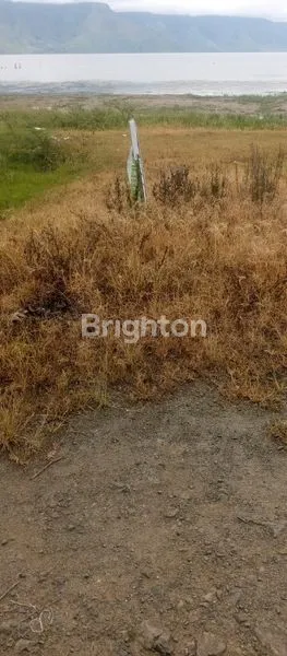 image 4.409 M² TANAH LADANG LUAS DI SIMANINDO, BISA DIJADIKAN HOTEL, HOMESTAY, RESTORAN KARENA TERLETAK DEKAT DENGAN KAWASAN HOTEL DIWILAYAH SIMANINDO (5)