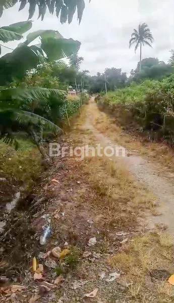 image 4.409 M² TANAH LADANG LUAS DI SIMANINDO, BISA DIJADIKAN HOTEL, HOMESTAY, RESTORAN KARENA TERLETAK DEKAT DENGAN KAWASAN HOTEL DIWILAYAH SIMANINDO (4)