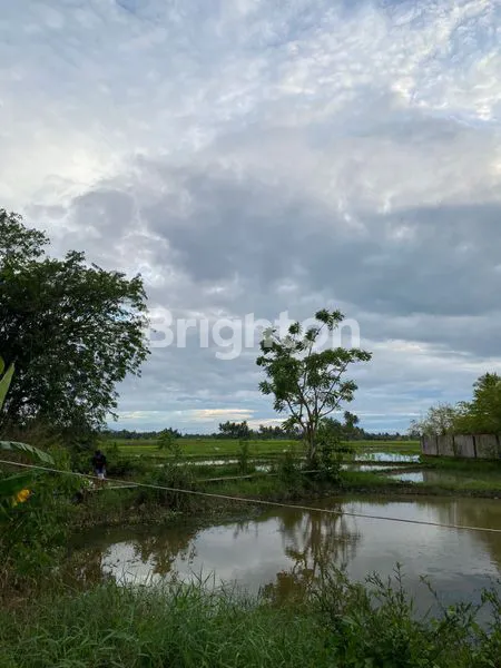 image TANAH BESAR DI KOTA PADANG (1)