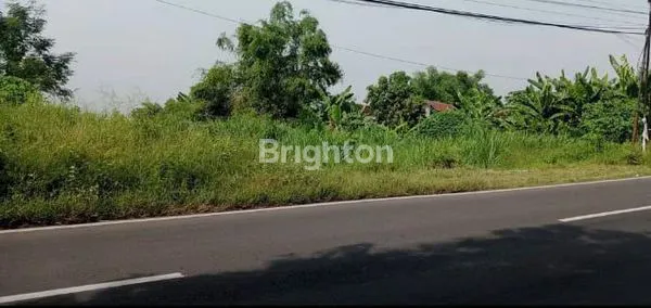 image TANAH LUAS, SHM, STRATEGIS D KELILINGI PERUMAHAN (1)