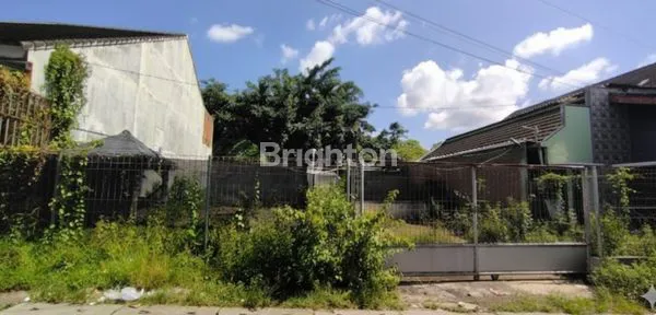 TANAH COCOK UNTUK USAHA KULINER DLL DI AREA DIENG MALANG