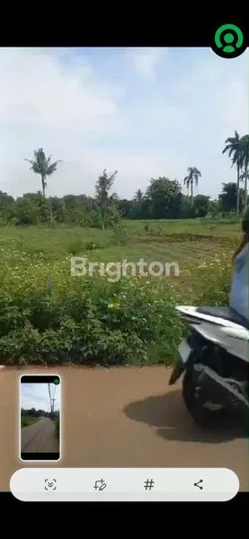 image DIJUAL MURAH TANAH DI KEC KEMANG BOGOR (2)