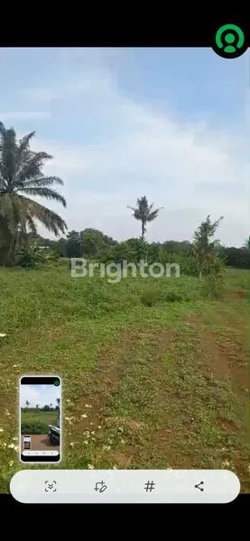 image DIJUAL MURAH TANAH DI KEC KEMANG BOGOR (3)