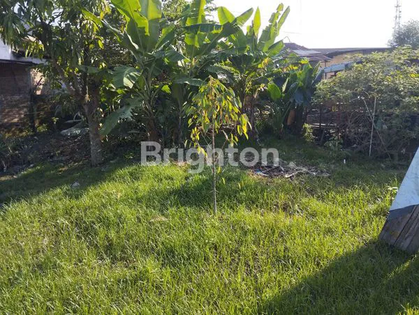 image HARGA 3 M ( NEGO ), LUAS 925 M² TANAH & TOKO DI JALAN PROTOKOL PANGLIMA DENAI UNTUK USAHA RUKO, KOST, RUMAH (7)