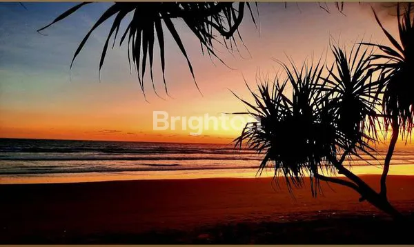 image RUMAH DEKAT PANTAI | 56,5 ARE | HITUNG TANAH SAJA! | SHM (5)