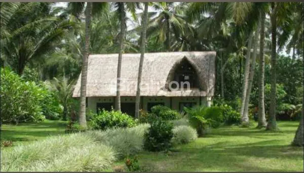 image RUMAH DEKAT PANTAI | 56,5 ARE | HITUNG TANAH SAJA! | SHM (4)