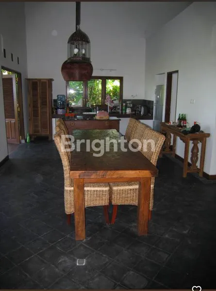 image RUMAH DEKAT PANTAI | 56,5 ARE | HITUNG TANAH SAJA! | SHM (3)