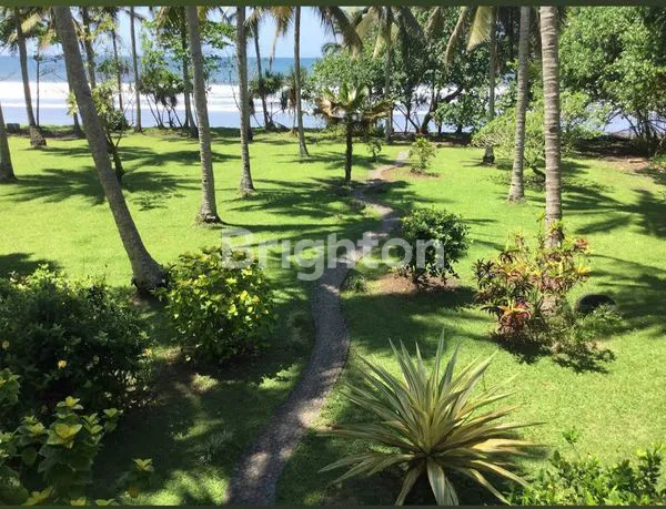 image RUMAH DEKAT PANTAI | 56,5 ARE | HITUNG TANAH SAJA! | SHM (2)