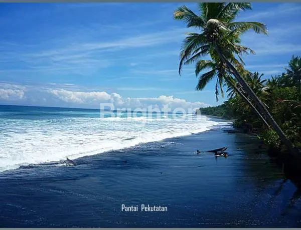 image RUMAH DEKAT PANTAI | 56,5 ARE | HITUNG TANAH SAJA! | SHM (6)