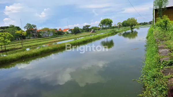 image TAMBAK AKTIF AREA DUDUKSAMPEYAN GRESIK (2)