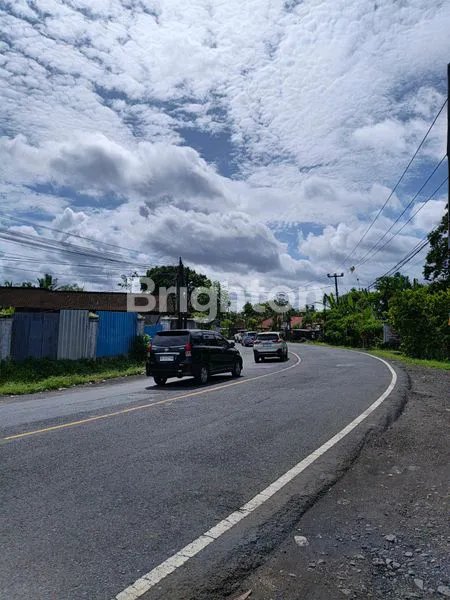 image TANAH STRATEGIS SELUAS 23,430M² DI JALAN RAYA UTAMA DENPASAR-GILIMANUK (4)