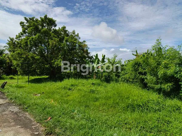 image TANAH STRATEGIS SELUAS 23,430M² DI JALAN RAYA UTAMA DENPASAR-GILIMANUK (3)