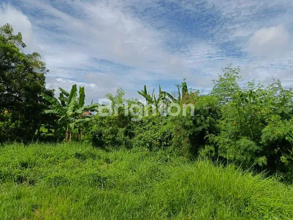 image TANAH STRATEGIS SELUAS 23,430M² DI JALAN RAYA UTAMA DENPASAR-GILIMANUK (1)