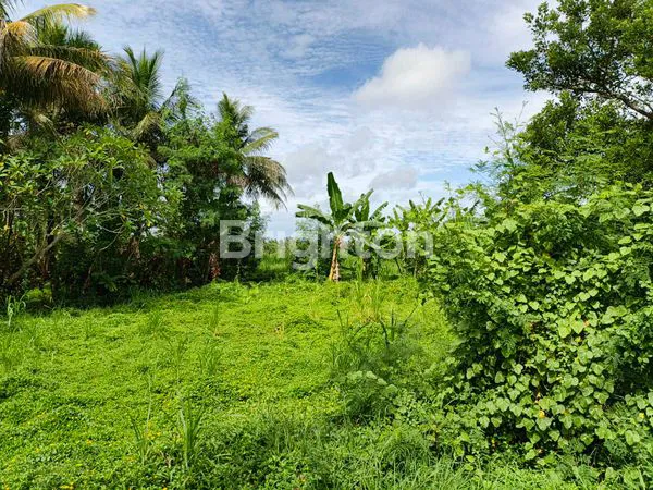 image TANAH STRATEGIS SELUAS 23,430M² DI JALAN RAYA UTAMA DENPASAR-GILIMANUK (6)